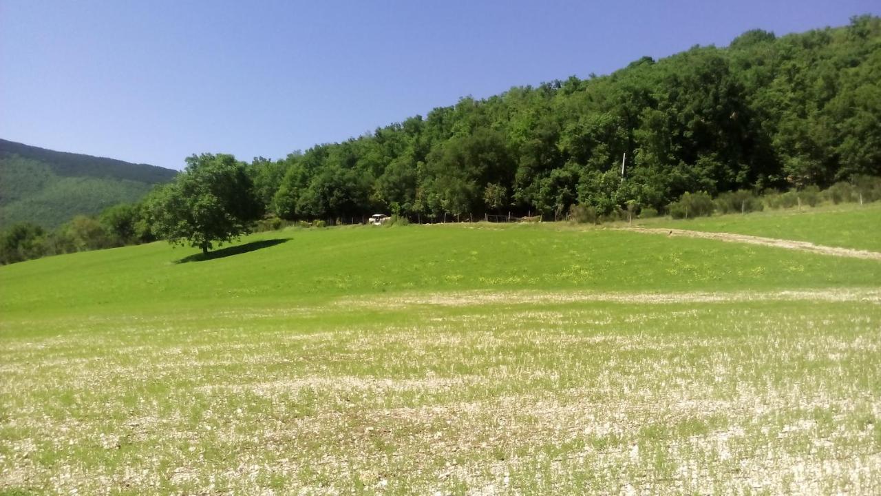Agriturismo Il Casale Degli Amici Norcia Buitenkant foto
