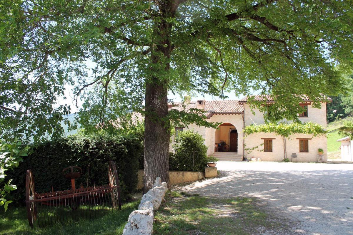 Agriturismo Il Casale Degli Amici Norcia Buitenkant foto